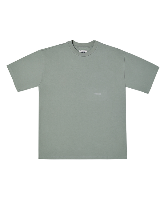 Birmano sunshine state green t-shirt