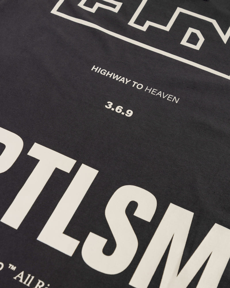 Undergold Spring Ascension Tshirt Vintage Gray