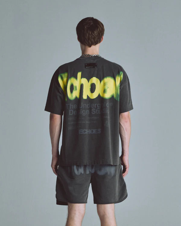 Undergold echoes echo tshirt old washed gray