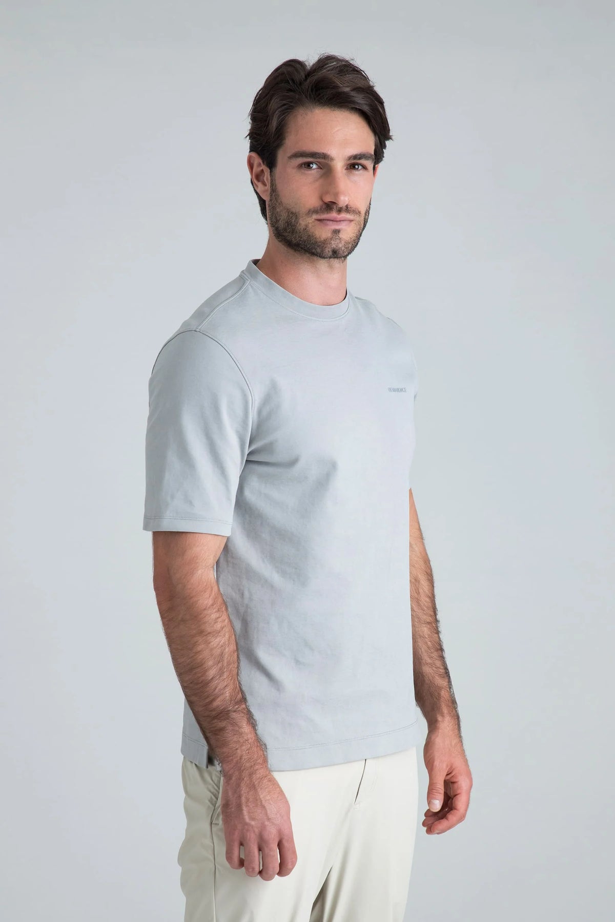 Remanence T-shirt Peak Gris Claro