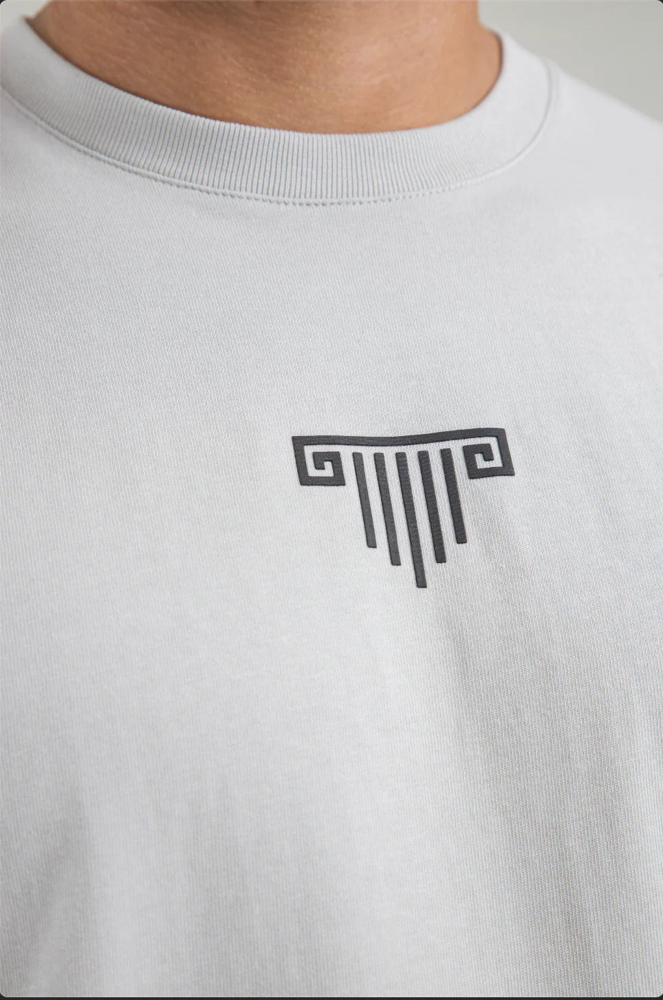 Artdist Essence Gray Regular Fit T-Shirt