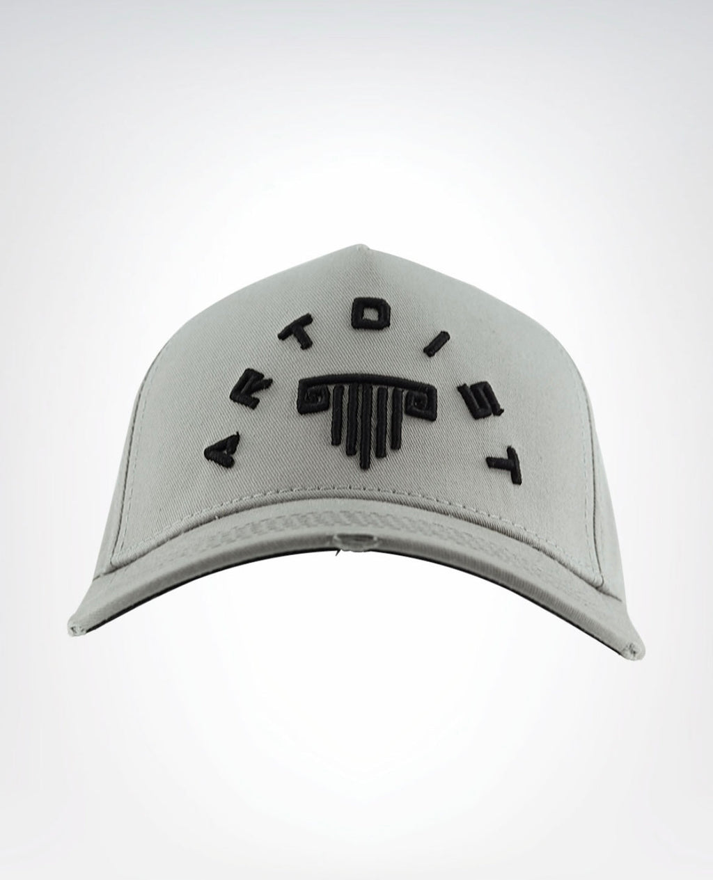Artdist canva grey cap