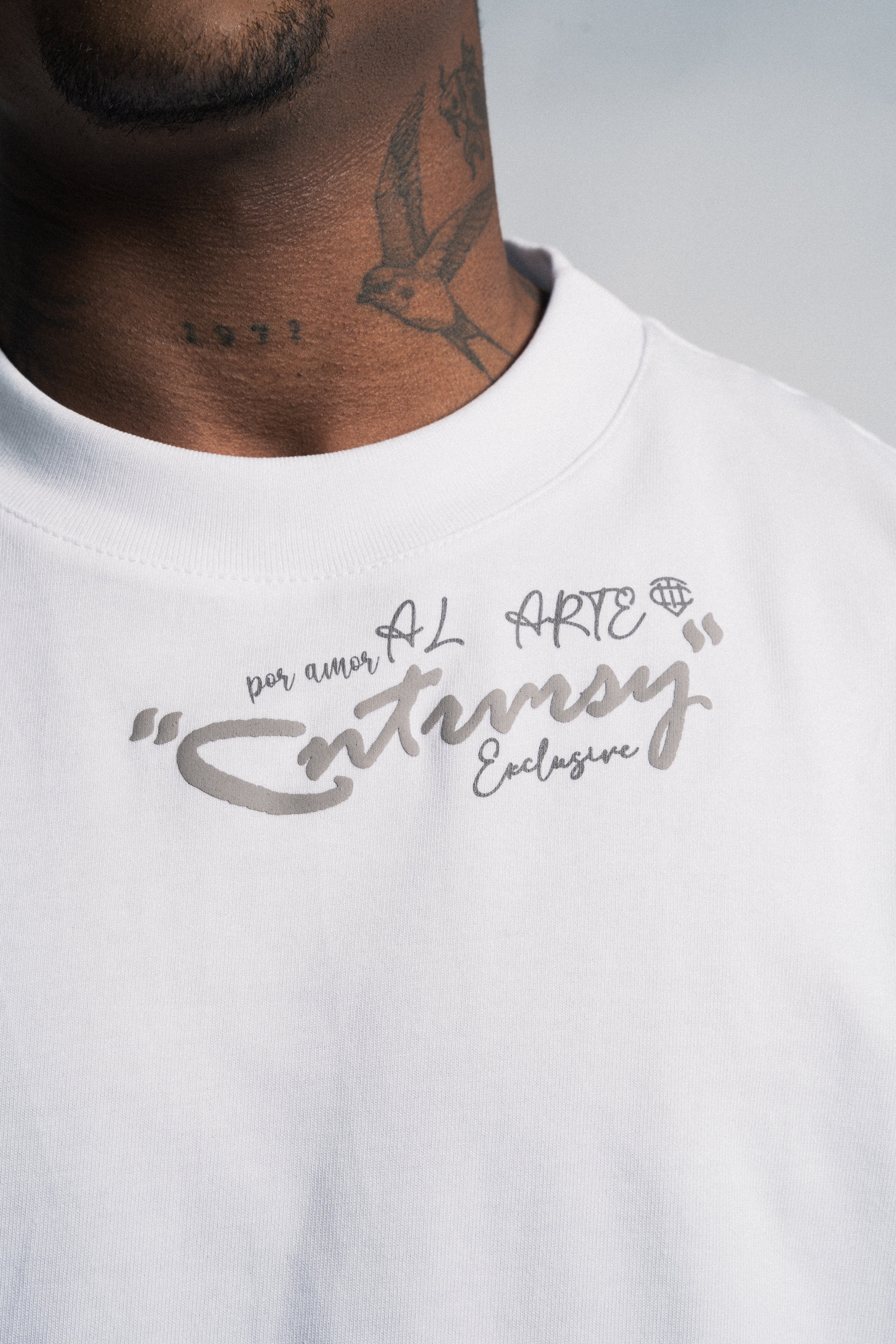 Controversy camiseta regular por amor al arte
