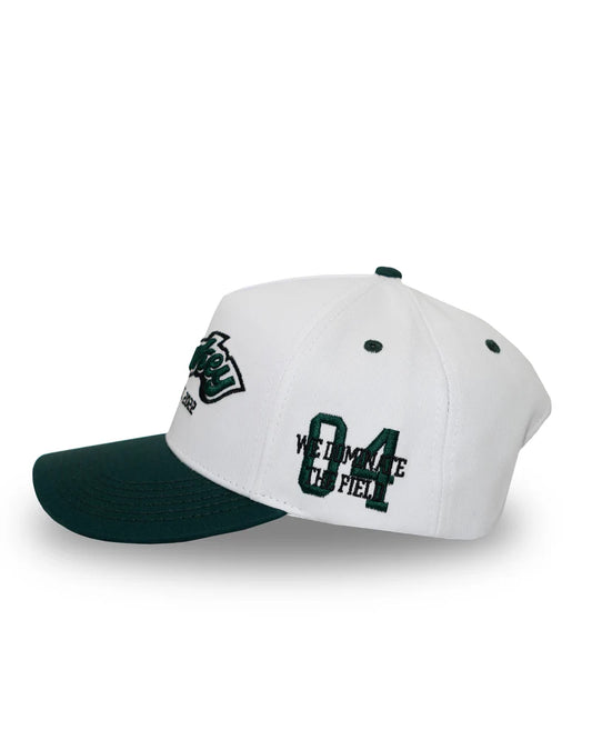 Lowkey gorra verde - plain blitz