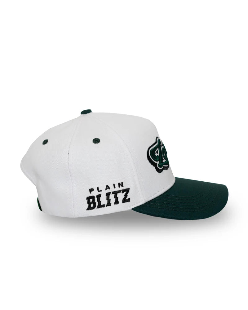 Lowkey gorra verde - plain blitz