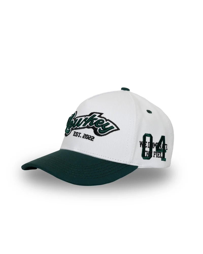 Lowkey gorra verde - plain blitz