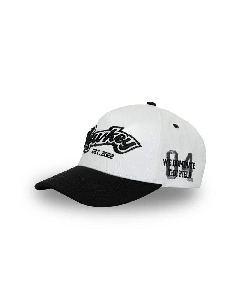 Lowkey gorra negro - plain blitz