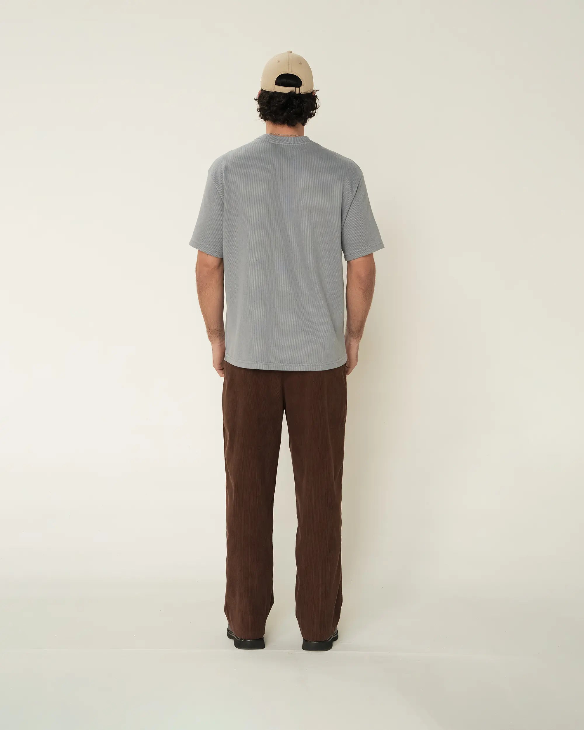 Birmano winter gray t-shirt