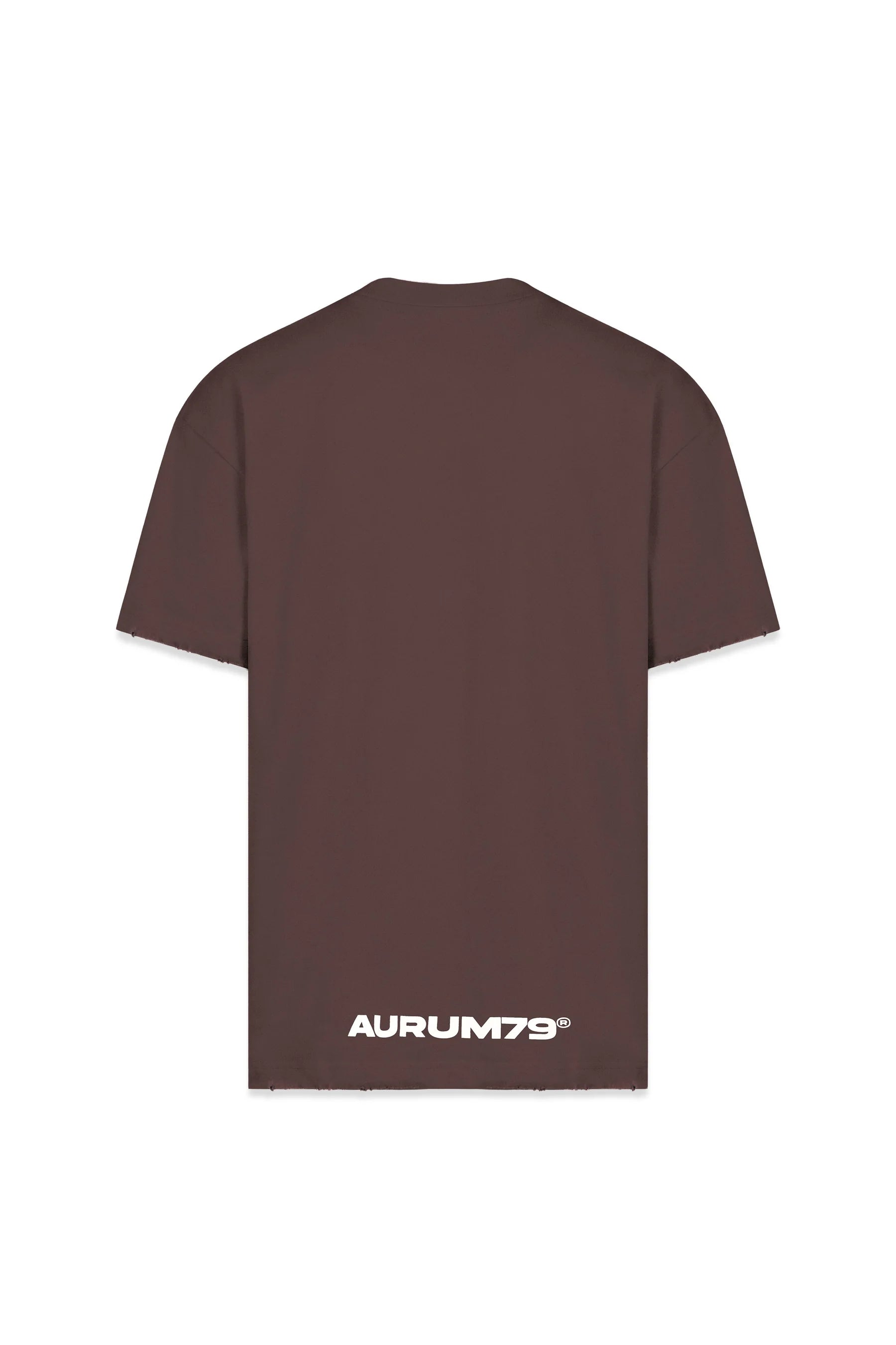 Aurum Coffee Gems Semi Oversized T-Shirt