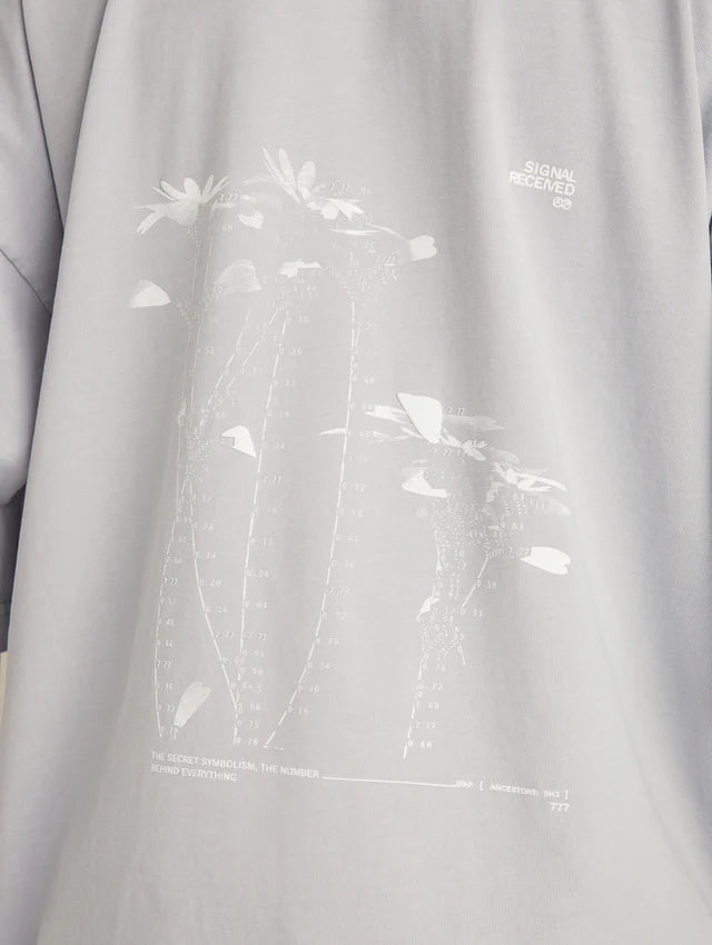 Ap Crown ashen t-shirt