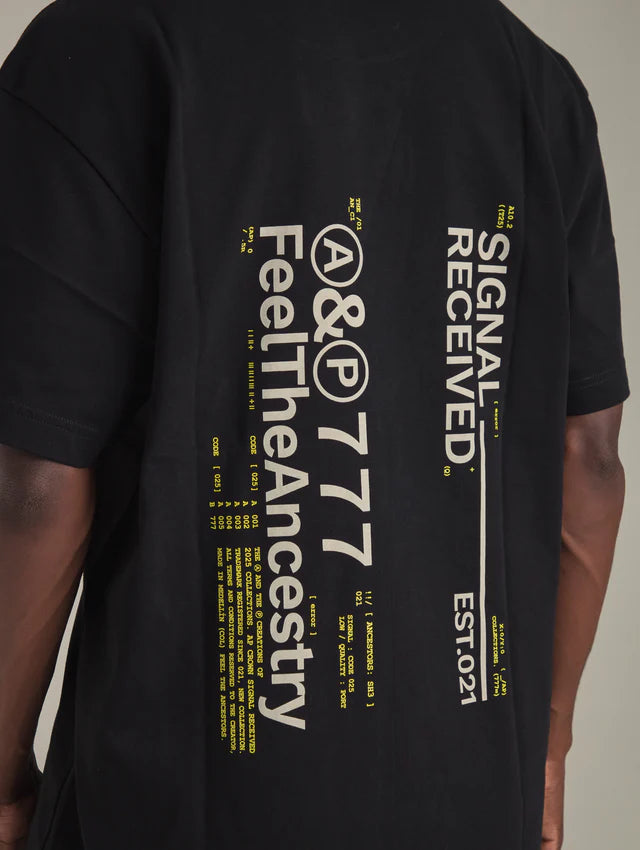 Ap Crown ashen black t-shirt